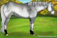 Horse Color:Silver Blue Onyx Chinchilla Ice