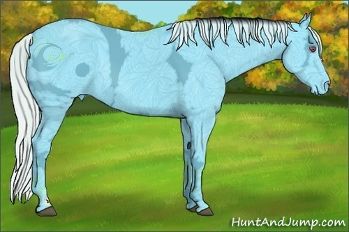 Horse Color:ERROR: UNKNOWN ANOMALY