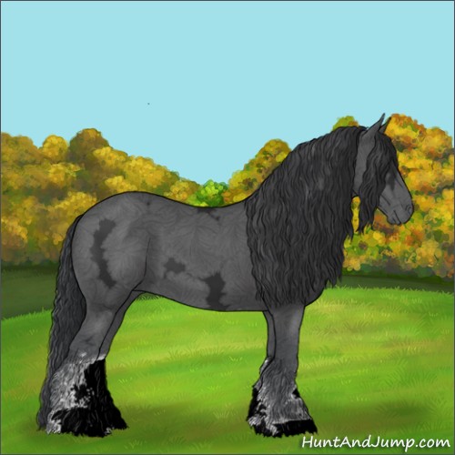 Horse Color:Black Ice Sabino 
