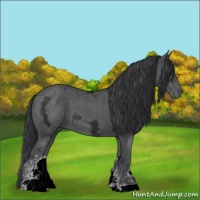 Horse Color:Black Ice Sabino
