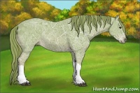 Horse Color:Watercolor Chestnut Ice 