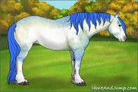 Horse Color:Watercolor Bay Ice Onyx Frame