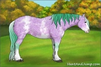 Horse Color:Watercolor White Spotted Bay Ice Splash 