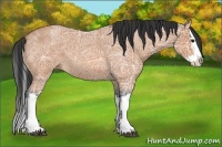 Horse Color:Bay Ice Roan Splash 