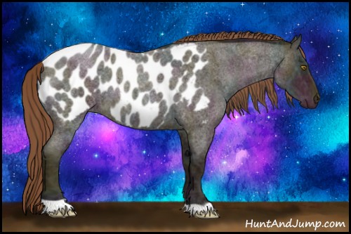 Horse Color:Midnight Bay Ice Roan Pearl Appaloosa 