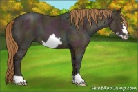 Horse Color:Midnight Bay Ice Pearl Frame 