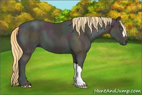Horse Color:Midnight Buckskin Pearl 