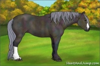 Horse Color:Watercolor Midnight Buckskin Ice 