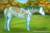 Horse Color:Thunderstruck Bay Ice Splash 