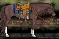 Horse Color:Chocolate Black Appaloosa Rabicano 