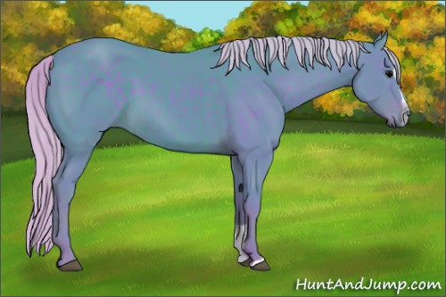 Horse Color:Watercolor Silver Black Sabino 