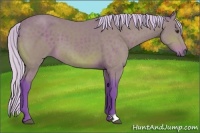 Horse Color:Watercolor Silver Brown 