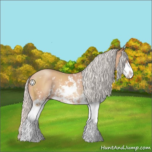 Horse Color:Silver Sable Champagne Sabino 