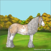 Horse Color:Silver Sable Champagne Sabino 