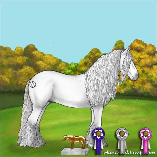 Horse Color:Gray White Spotted Silver Black 
