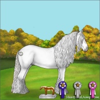 Horse Color:Gray White Spotted Silver Black