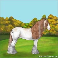 Horse Color:White Spotted Sable Champagne Pearl Sabino Rabicano 