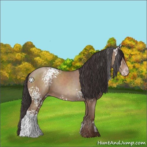 Horse Color:White Spotted Classic Champagne 