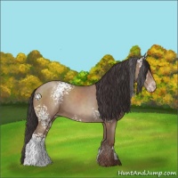 Horse Color:White Spotted Classic Champagne 