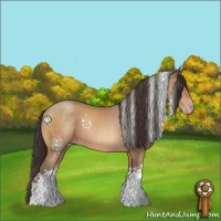 Horse Color:White Spotted Sable Champagne Sabino 