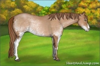 Horse Color:White Spotted Bay Pearl Frame