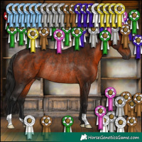 Horse Color:Gray Bay Rabicano