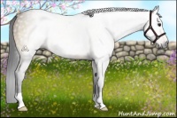 Horse Color:Gray Bay Dun 