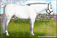 Horse Color:Gray Brown Dun 