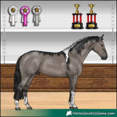 Horse Color:Gray Platinum Smoky Grullo Sabino Tobiano 