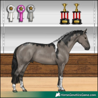 Horse Color:Gray Platinum Smoky Grullo Sabino Tobiano