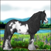 Horse Color:White Spotted Black Frame