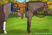 Horse Color:Chocolate Grullo Appaloosa Rabicano