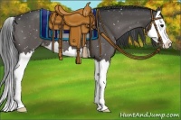 Horse Color:Black Splash Appaloosa 