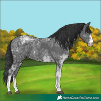 Horse Color:White Spotted Black Ice Tobiano