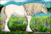 Horse Color:Buckskin Roan Pearl Rabicano  and Buckskin Roan Pearl Rabicano 