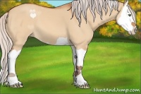 Horse Color:Chocolate Silver Bay Dun Splash 