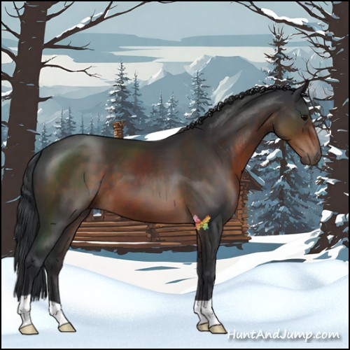 Horse Color:Brown 