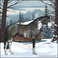 Horse Color:Black Sabino