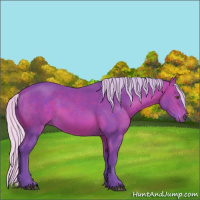 Horse Color:Watercolor Silver Bay 