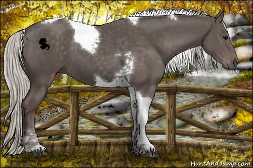 Horse Color:Silver Black Tobiano 
