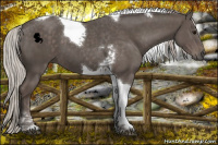 Horse Color:Silver Black Tobiano 