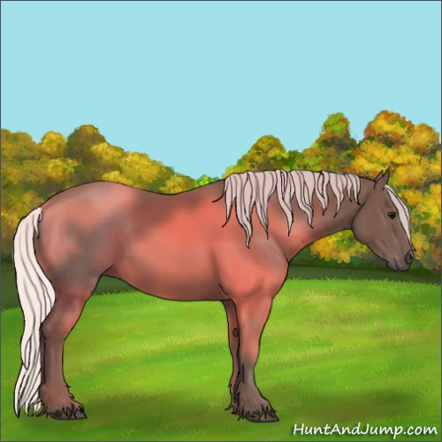 Horse Color:Silver Black 