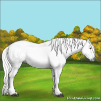 Horse Color:Gray Watercolor Bay 