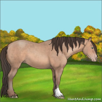Horse Color:Amber Champagne 