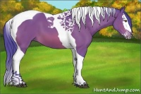 Horse Color:Watercolor Bay Splash Tobiano 