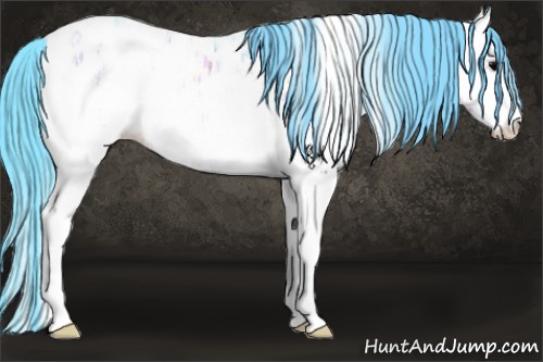 Horse Color:Watercolor White Spotted Bay Ice Onyx Sabino Appaloosa 
