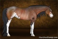 Horse Color:Brown Sabino Rabicano