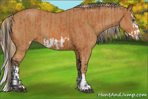 Horse Color:Bay Splash Frame  and Chestnut Splash Frame 