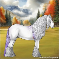 Horse Color:Gray Watercolor White Spotted Bay Ice Tobiano 