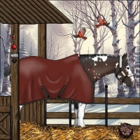 Horse Color:White Spotted Brown 